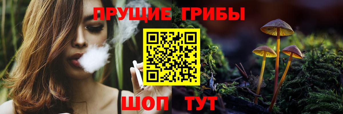 Галлюциногенные грибы Cubensis  Вход с VPN  Дзержинский 